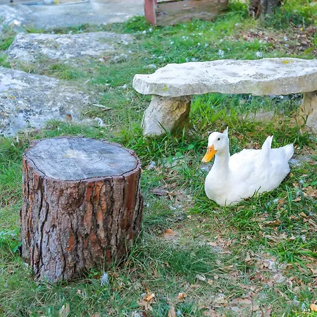 Apartment Ivka Veli Rat