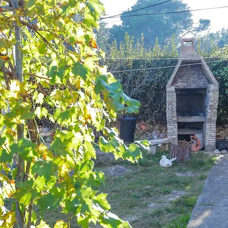 Apartment Ivka Veli Rat